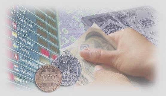 Что отличает успешного и проигрывающего трейдера?